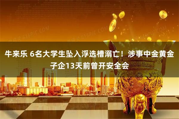 牛来乐 6名大学生坠入浮选槽溺亡!涉事中金黄金子企13天前曾开安全会