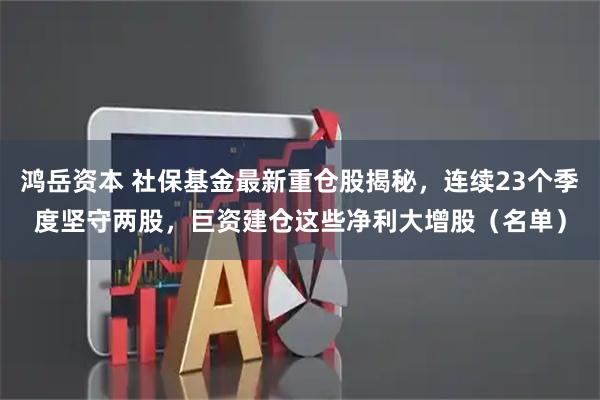 鸿岳资本 社保基金最新重仓股揭秘,连续23个季度坚守两股,巨资建仓这些净利大增股(名单)